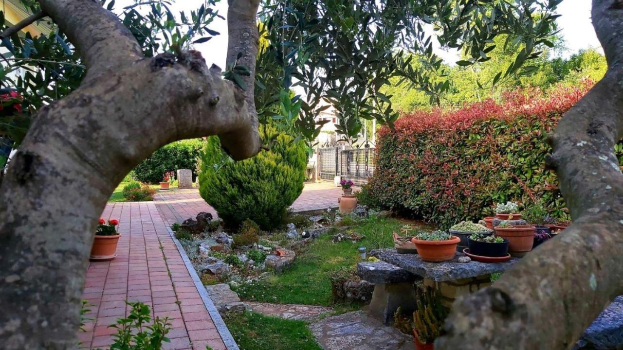 Apartment Green Oasis 1 乌马格 外观 照片